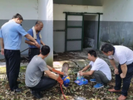 屯溪：小動物被鐵門卡住多處受傷 原來是國家二級保護動物毛冠鹿