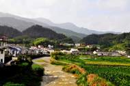 逆水行舟用力撐，一篙松勁退千尋