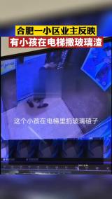 合肥一小区业主反映 有小孩在电梯撒玻璃渣