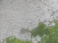 暴雨來襲涉水車輛如何賠償？安徽省消保委發布提示
