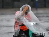 风雨交加下的合肥街头（组图）