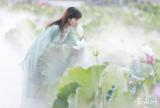旌德县合锦村的碧荷连天美不胜收，吸引众多游客前来打卡（组图 ）