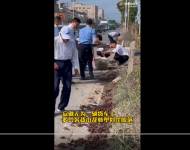 蕪湖：兩百斤小龍蝦集體“出逃”   警民攜手上演捉蝦大戰(zhàn)