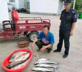 望江查获一起涉嫌禁渔期销售非法捕捞渔获物案