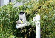 滁州7月20日启用一批监控抓拍 涉及这些路口和路段