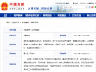 官方回復：合肥東至路（洪崗路-休寧路）預計2021年12月底完工