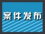 巢湖警方打掉一跨境网络赌博团伙