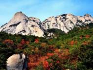 9月10日至12日，天柱山景區(qū)對全國人民免票