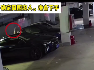 滁州：小偷雙腳朝天把自己塞進車窗 盜走3萬多元現金