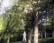 合肥菱湖公園突現(xiàn)馬蜂窩 城管消防聯(lián)手除隱患