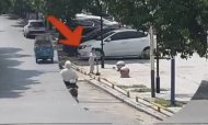 淮南：5歲萌娃騎滑板車獨自外出 嚇壞爸媽報警求助