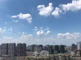立秋将至  合肥暑热未消（组图）