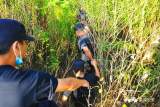 流动赌场藏于巢湖深山密林！警方出动100余警力一举抓获40人