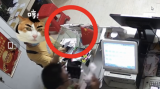 盗窃5000元刮刮乐彩票 合肥一女子想暴富还未兑奖就被抓