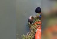 老人生活不順跳河輕生 合肥民警苦口婆心救助