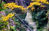 黄山太平索道12月3日恢复运营