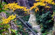 黃山太平索道12月3日恢復運營