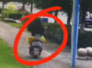 蕪湖：女子偷完車越想越后悔 主動(dòng)投案自首