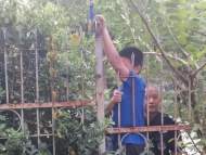 痛！?合肥一男孩翻圍墻護(hù)欄時(shí)手臂被刺穿  
