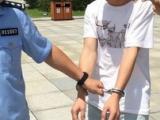 8人外省盗窃团伙疯狂作案 刚到合肥就被警方一锅端