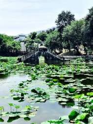 董靜：腌姜記
