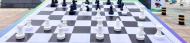 石楠：我跟孫子學下棋