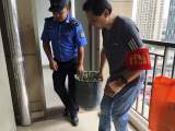 小荷志愿服务队：守护社区的“平安灯”