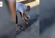 合肥百歲老人熱心腸 修補破損人行道