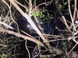 滁州6人越野深夜被困山中 消防连夜搜救