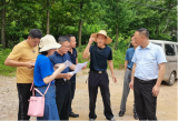 青阳县蓉城镇：推进项目建设，加快乡村振兴