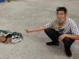 亳州：多只猫咪被盗 偷猫贼返途中被抓