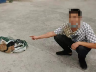 亳州：多只猫咪被盗 偷猫贼返途中被抓