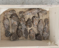 蕪湖一工地驚現52枚舊時炮彈