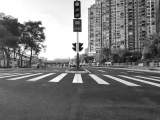 合肥肥西路（临泉路—大房郢路）改造完成 提前开通放行