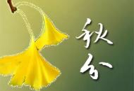 海報(bào)|今天很特殊 晝夜平分