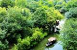 许礼荣：花木人间（二首）