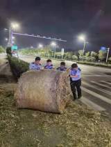 两大捆秸秆掉路上埋隐患 蚌埠民警迅速清理保畅通