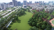“零距離”親近自然！  安徽開放304處共享城市綠地