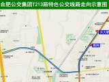 服务望龙学校师生出行 合肥公交集团新开T213路特色公交线
