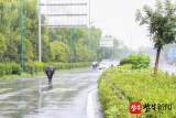 2小时围捕连开3枪，江苏盐都警方围捕击毙伤人疯牛