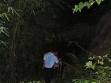宿松一七旬老人采药迷路 警民搜救将其寻回