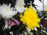 宿州83歲退休老人不辭勞苦慰英靈