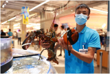 盒马鲜生合肥首店9月10日营业  记者带你提前探店