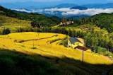 杨书清：秋天的味道