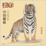 虎年生肖邮票正式亮相！