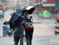 安徽省氣象臺發布暴雨黃色預警信號