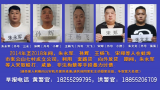 用"套路贷"暴力讨债!蚌埠摧毁一恶势力犯罪集团