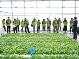 长三角融媒体庐阳行丨庐阳现代农业示范园吊起来的西瓜苗让记者大开眼界