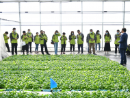 長三角融媒體廬陽行丨廬陽現代農業示范園吊起來的西瓜苗讓記者大開眼界