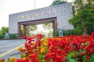 4月8日起中國科學技術大學強基計劃開始報名